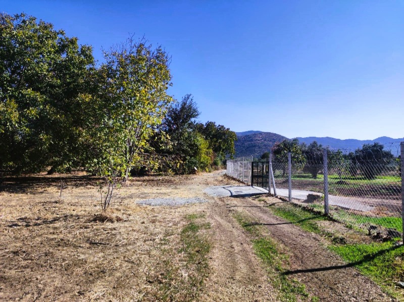 Havran Büyükdere Mah`daTarla. - 20